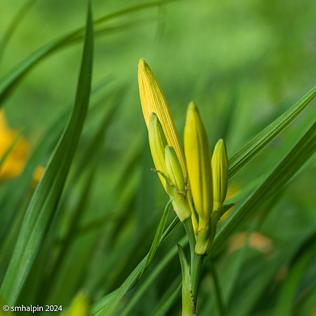 Spring2024-0489