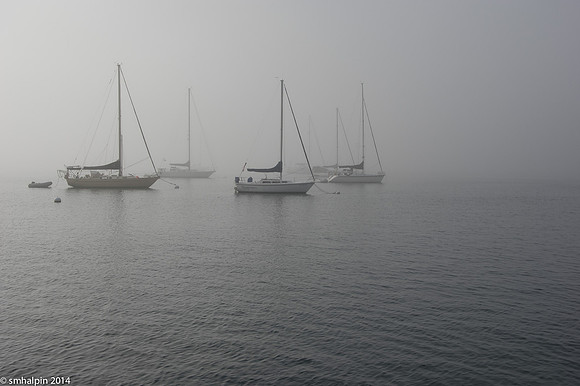 Morning Fog
