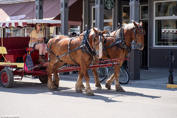 Mackinac Island