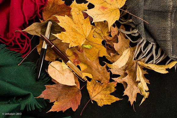 20131113-_K3A0880