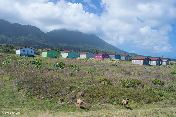 Housing for Sugar Cane Workers