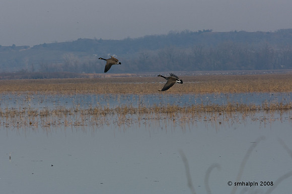 20081127-K20D5534