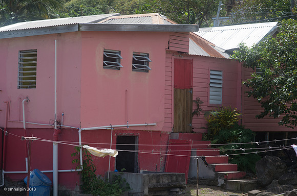 Pink House