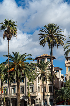 Palma de Mallorca