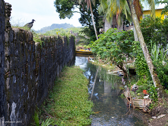 Portobelo