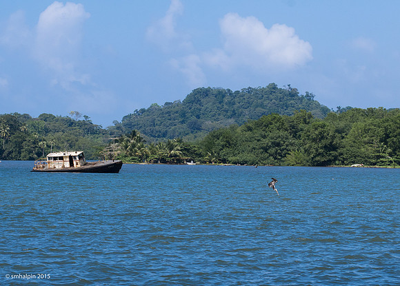 Portobelo