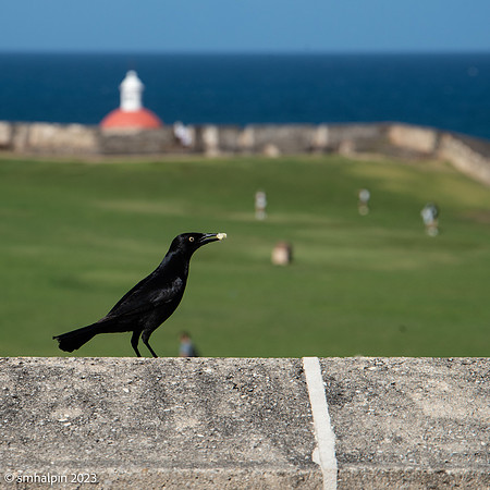 San Juan PR