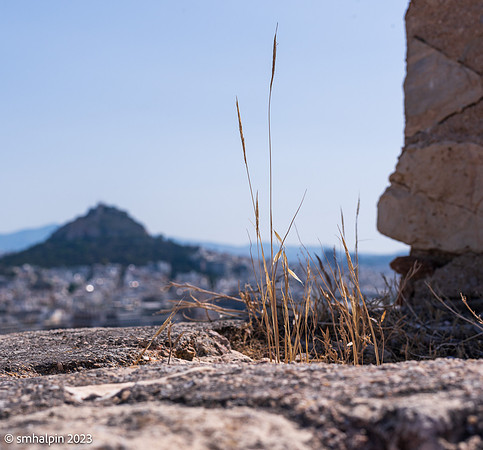 Athens-9412