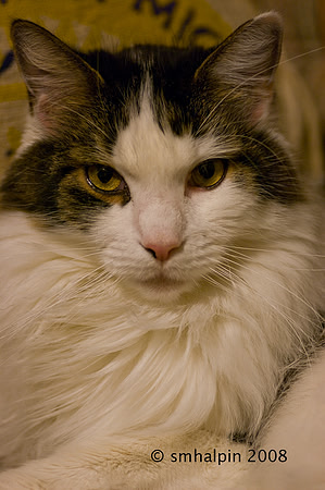 20081118-K20D5339