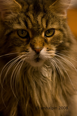 20081115-K20D0059