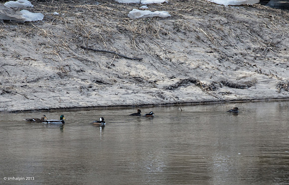 Mixed Group