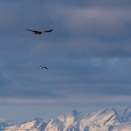 Lofoten