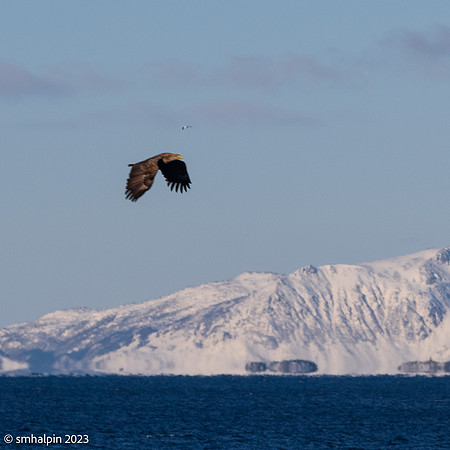 Lofoten