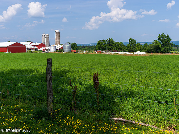 FLX-9638