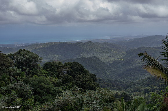 View from El Yunque