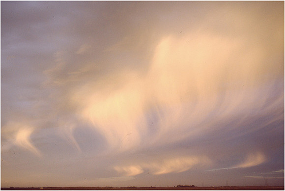 Ann Sanfedele - East of Jamestown North Dakota - October 11, 1989