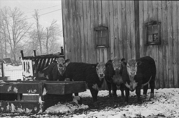 Indiana Farm - 1969