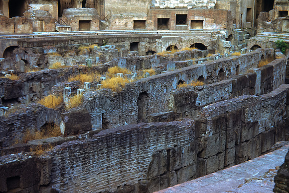Rome-Colosseum