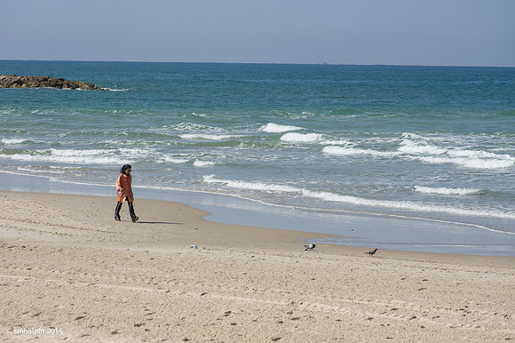 Tel Aviv seaside
