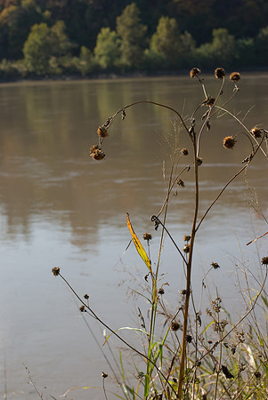 Missouri River