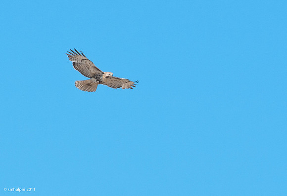 20110504-K20D5181
