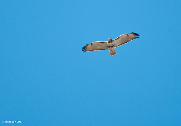 20110505-K20D6137