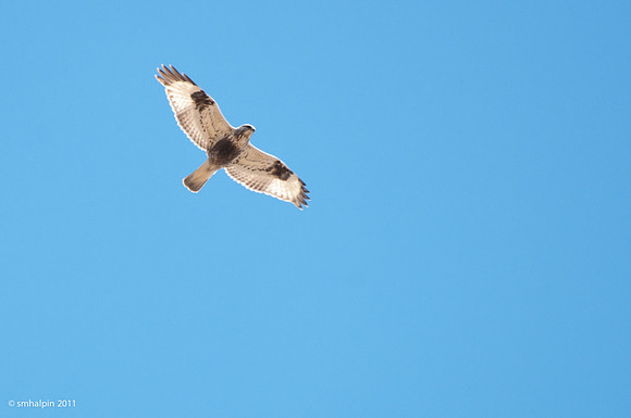 20110505-K20D6203