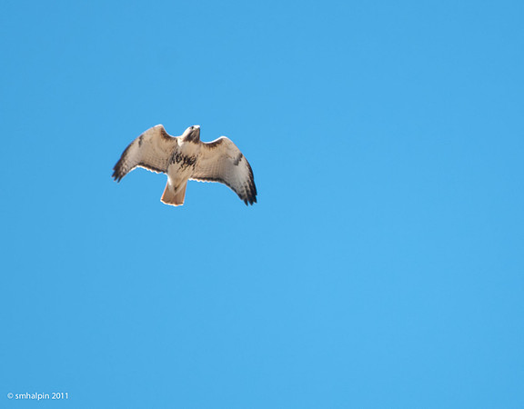 20110505-K20D6140