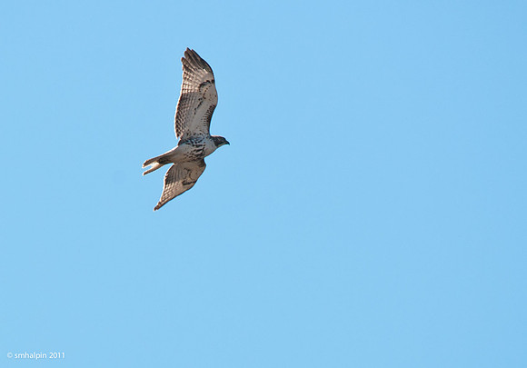 20110504-K20D5542