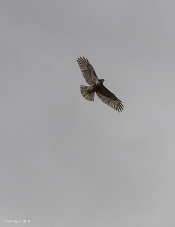 20191023-K12B8218