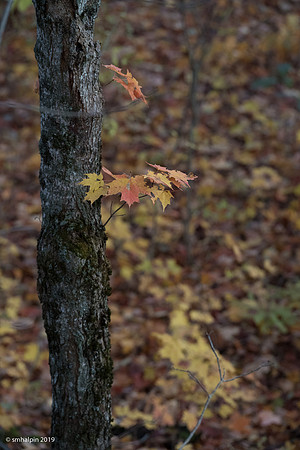 20191024-K12B8242