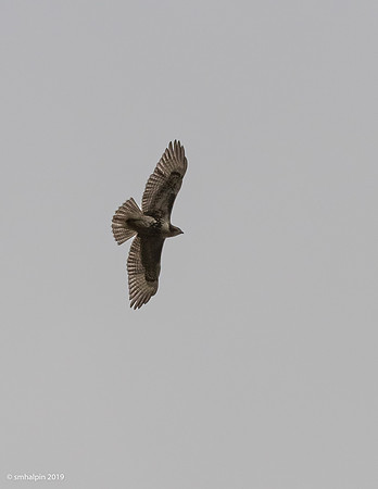 20191023-K12B8219