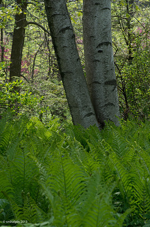 Informal Setting
