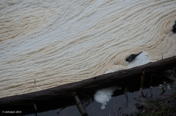 Tahquamenon River