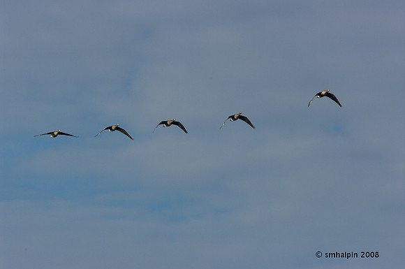 20081127-K20D5453
