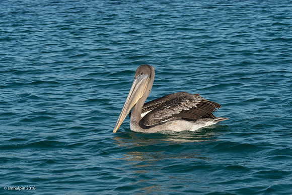 20180327-K1B_8855