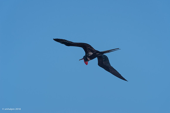 20180329-K1B_0204