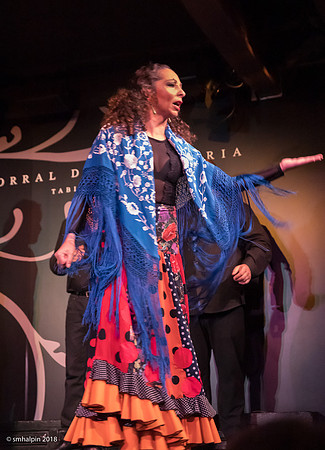 Flamenco