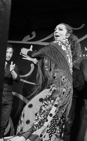 Flamenco