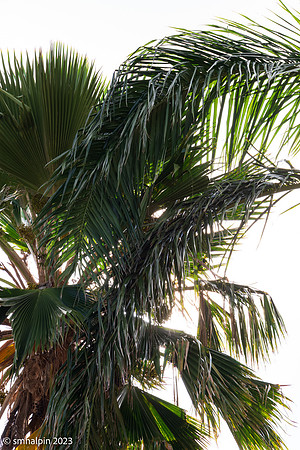 St. Thomas USVI