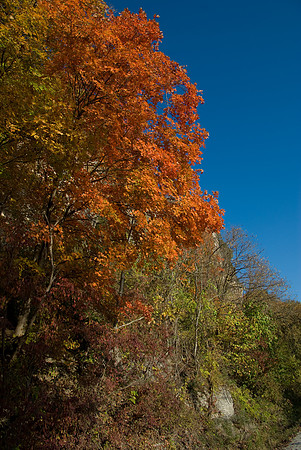 KATY Trail