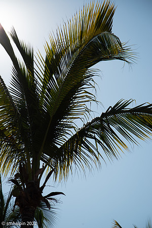 PuertoVallarta-4894