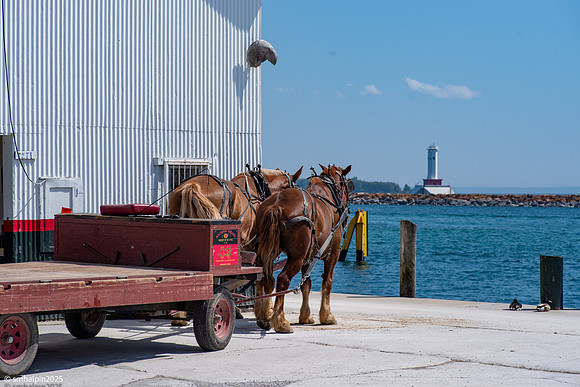 Mackinac Island