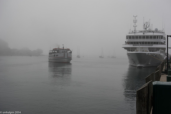 Ferry & Cruise Ship