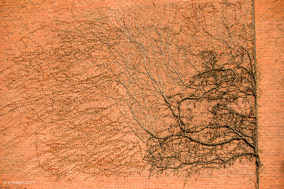 Denmark2014-5087