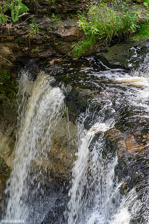 Laughing Whitefish Falls State Park, MI