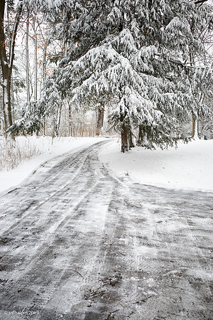 SnowDay-3001849
