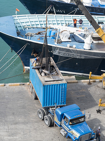 Manta Port - Unloading Tuna