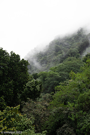 Pigeon Island - St. Lucia