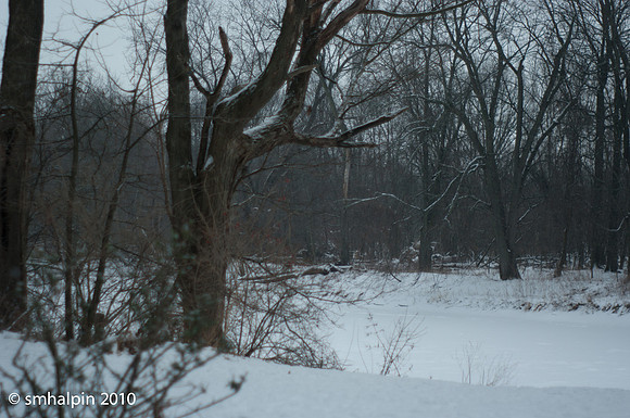 PK 55/1.8 @ f/1.8
